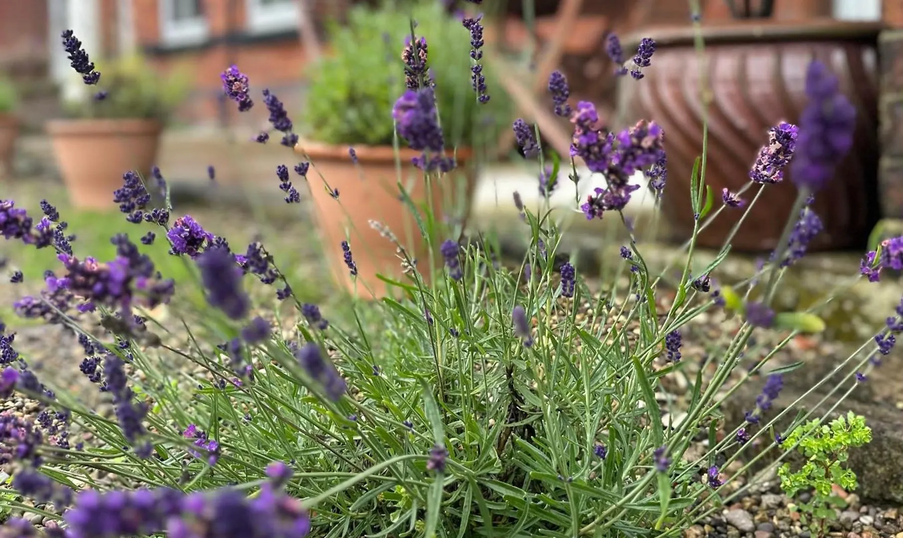Station House Holiday Cottages, Exclusively For Grown Ups, Thornton Dale Pickering Apartment